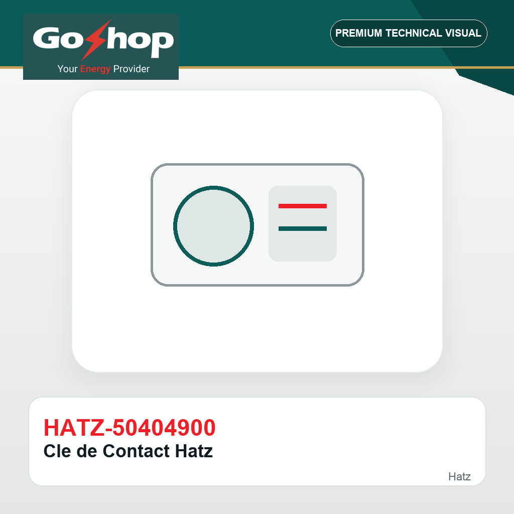 Cle de Contact Hatz