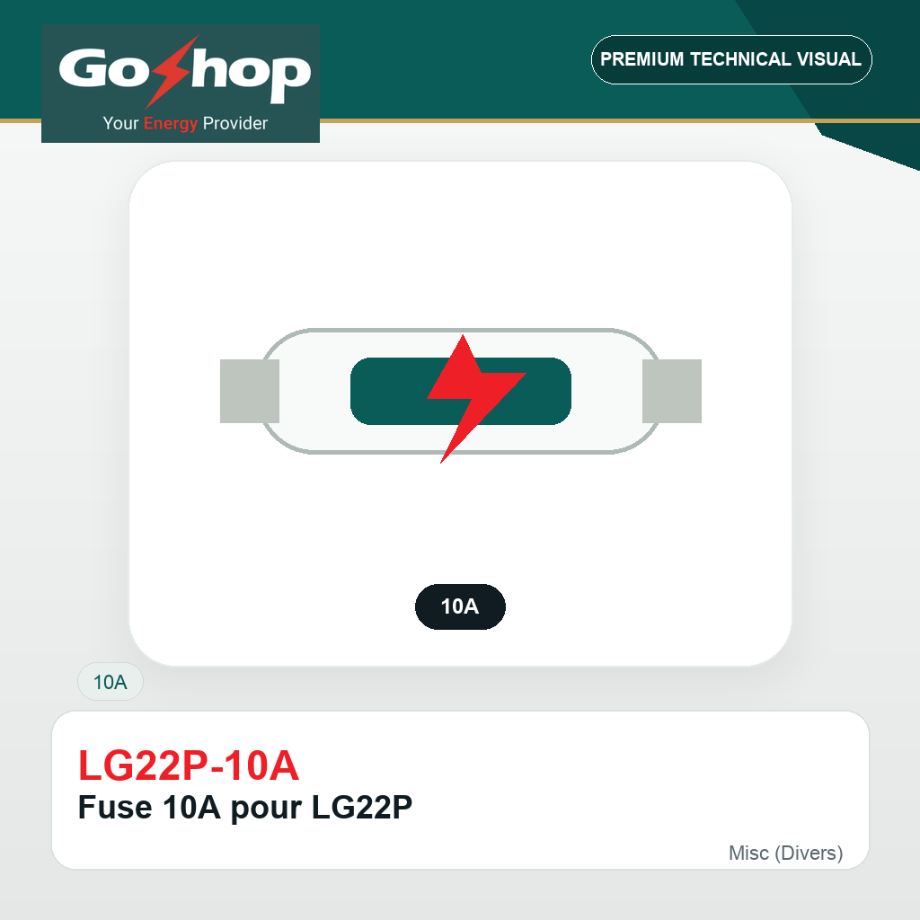 Fuse 10A pour LG22P