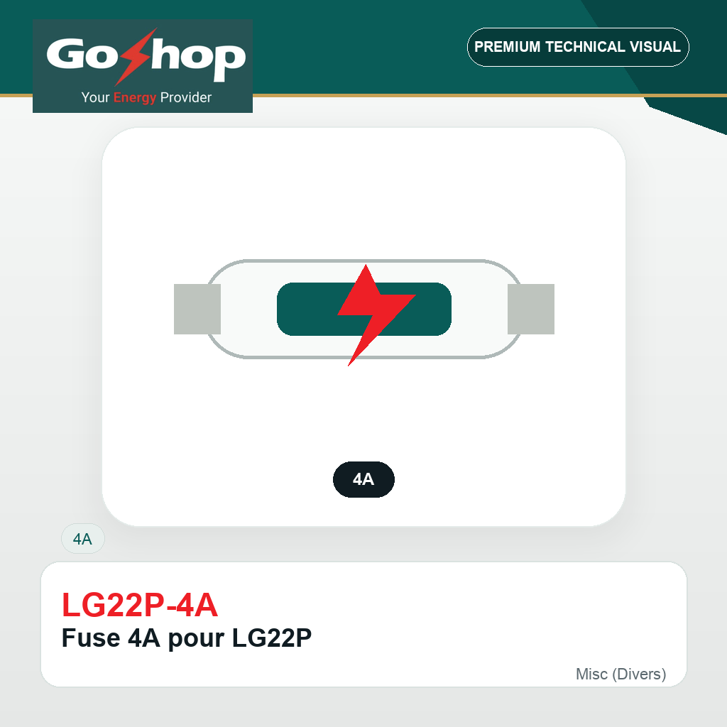 Fuse 4A pour LG22P