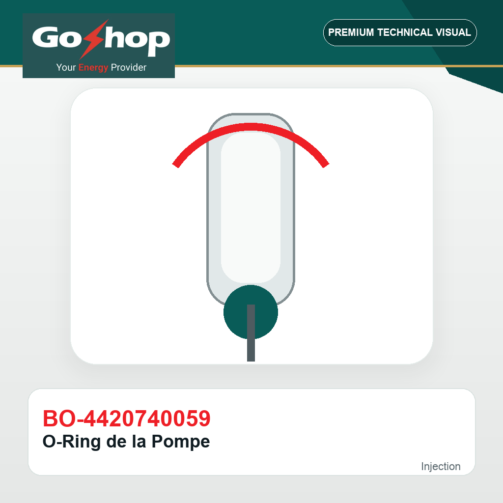 O-Ring de la Pompe