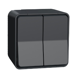 Schneider Electric MUREVA DOUBLE V V, SAILLIE, GRIS