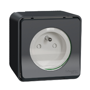 Schneider Electric MUREVA PC 2PT FR, SAILLIE, GRIS