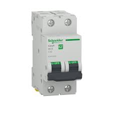 DISJONCTEUR S/R BIPOLAIRE 2 POLE 16A . EASY9  . SCHNEIDER