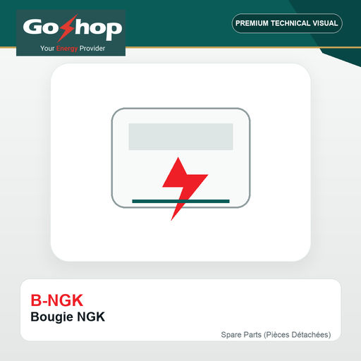 [B-NGK] Bougie NGK