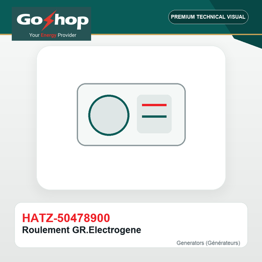 [HATZ-50478900] Roulement GR.Electrogene
